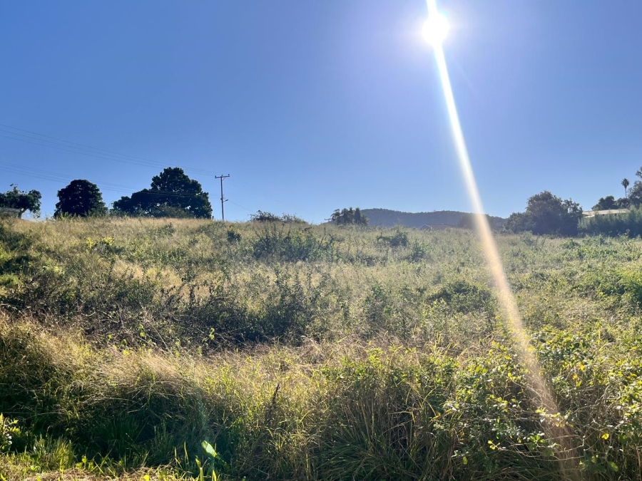 Commercial Property for Sale in Patensie Eastern Cape
